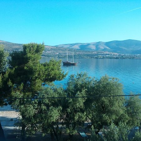 Apartment Nikica Trogir Exterior photo